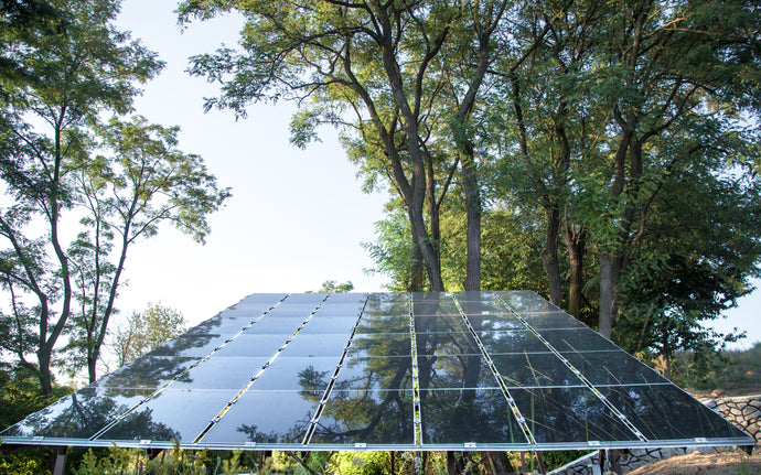 Solar Off-Grid Kits for Subtropical Climates: A Perfect Fit for Louisiana